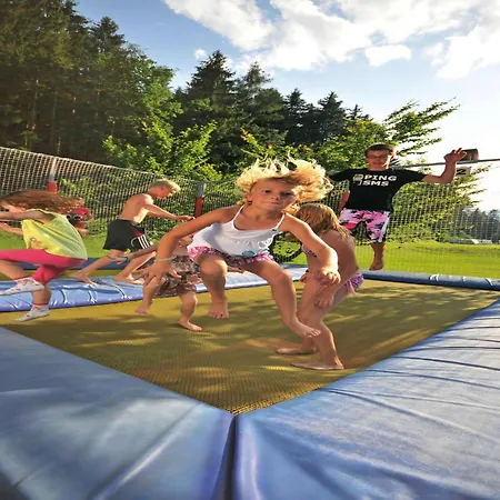 In The Seeblick In *